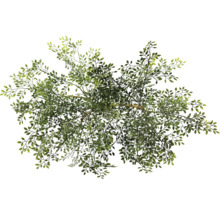 Draufsicht auf einen künstlichen Baum mit grünen Blättern.