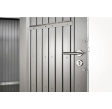 Gartenhaus Biohort Panorama P3 mit Doppeltür, Regal und Dachrinne 273 x 238 cm silber-metallic