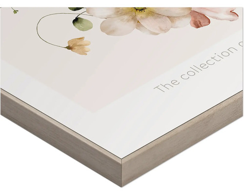 Detailansicht eines gerahmten Bildes mit Blumenmotiv