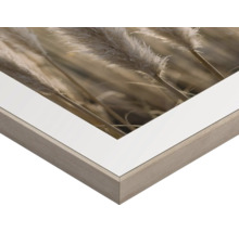 Detailansicht eines gerahmten Bildes mit floralem Motiv