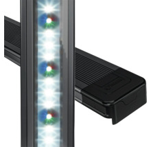 Aquariumbeleuchtung mit LED-Leuchten