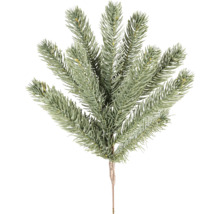 Dekorativer Tannenzweig für Weihnachtsdekorationen
