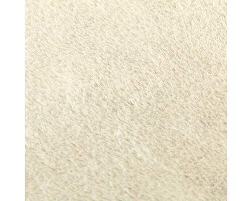 Nahaufnahme eines Teppichs mit hohem Flor