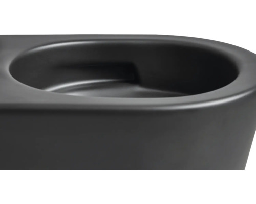 Detailansicht eines schwarzen WCs.