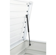 Auflagenbox Biohort FreizeitBox 130, 134 x 62 x 71 cm, weiss
