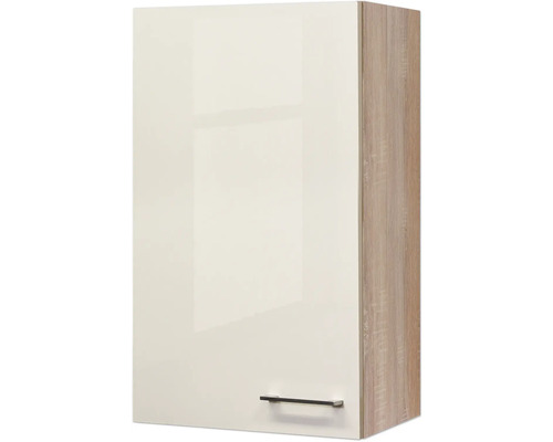 Hängeschrank mit Tür und Griff