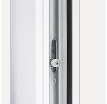 Fenstergriff mit Schloss