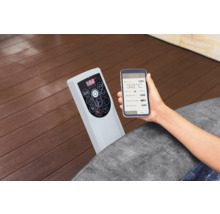 Bedienelement und Smartphone zur Steuerung eines Whirlpools
