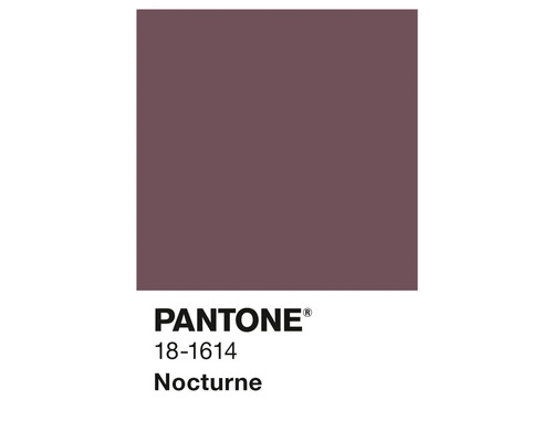 Pantone 18-1614 Nocturne Farbfeld