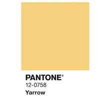Pantone Farbe Yarrow 12-0758