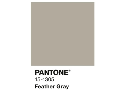 Pantone Farbe 15-1305 Feather Gray