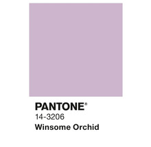Pantone Farbe 14-3206 Winsome Orchid