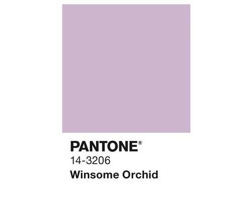Pantone Farbe 14-3206 Winsome Orchid