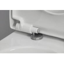 Detailaufnahme eines Toilettensitzes mit Edelstahlscharnieren.