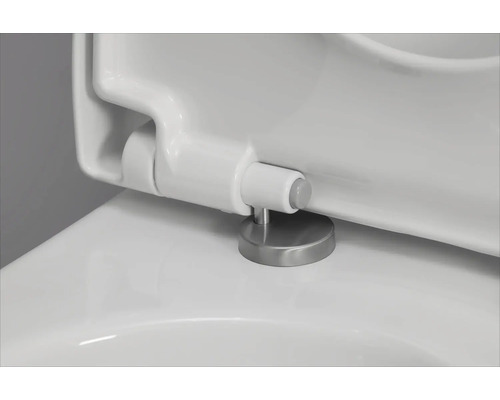 Detailaufnahme eines Toilettensitzes mit Edelstahlscharnieren.