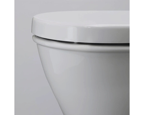 Detailaufnahme einer Toilette mit geschlossenem Toilettendeckel.