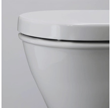Detailaufnahme einer Toilette mit geschlossenem Toilettendeckel.