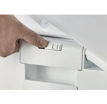 Hand betätigt Betätigungsplatte eines WCs