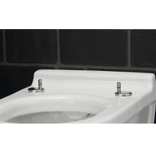 Detailansicht eines weißen Toilettensitzes mit rostfreien Stahlbefestigungen