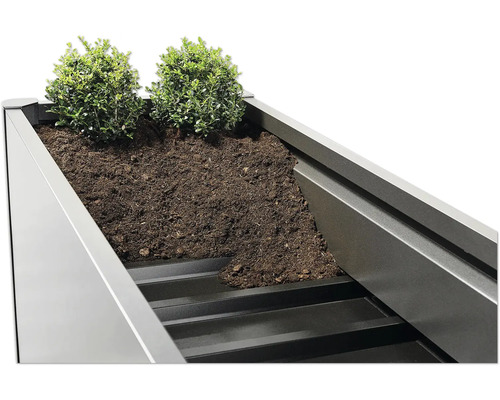 Hochbeet mit Erde und Pflanzen