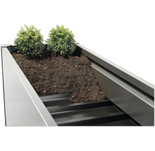 Detailansicht eines bepflanzten Blumenkastens mit Erde und Pflanzen
