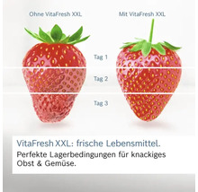 Vergleich der Haltbarkeit von Erdbeeren mit und ohne VitaFresh XXL