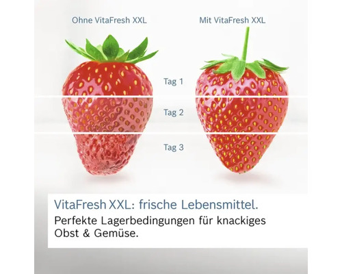 Vergleich der Haltbarkeit von Erdbeeren mit und ohne VitaFresh XXL