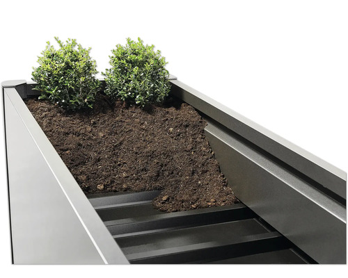 Detailaufnahme eines Hochbeets mit Erde und Pflanzen.