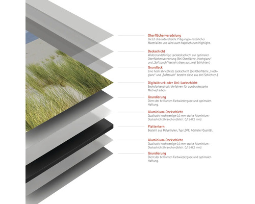 Schichtaufbau einer Platte mit Oberflächenveredelung, Deckschicht, Grundlack, Digitaldruck, Grundierung, Aluminium-Deckschicht und Plattenkern aus Polyethylen