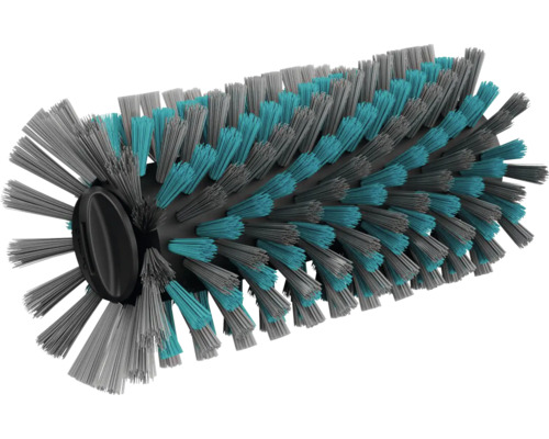 Bürstenwalze mit Borsten