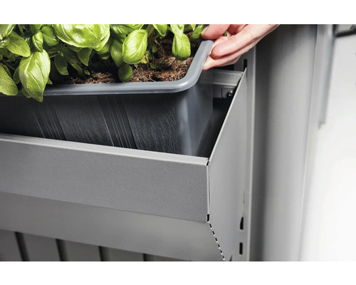 Balkonkasten mit Pflanzeneinsatz und Bepflanzung