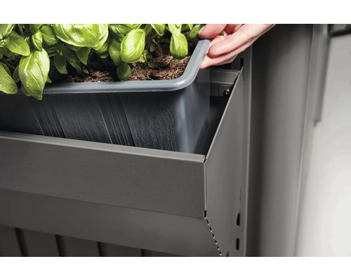 Person setzt Pflanzkasten in eine Metallkonstruktion mit Pflanzen