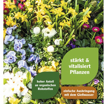 Blumenbeet mit Pflanzennahrung zur Stärkung und Vitalisierung der Pflanzen