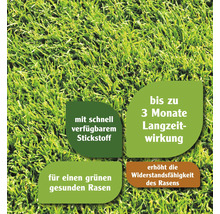 Grüner Rasen mit Hinweisen zu Stickstoff und Langzeitwirkung