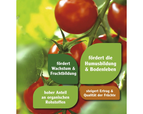 Tomatenpflanze mit Hinweisen zu Wachstum, Humusbildung, organischen Rohstoffen und Ertragssteigerung.