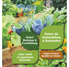 Gemüsegarten mit Hinweisen zu Wachstumsförderung, Humusbildung und Qualität der Früchte