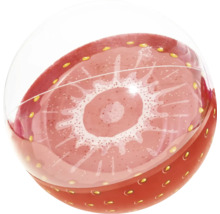 Dekorativer Erdbeerball für den Innenbereich