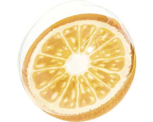 Illustration einer Orangenscheibe unter einer transparenten Kuppel