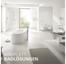 Helles Badezimmer mit Badewanne, Dusche, Waschbecken und Toilette.