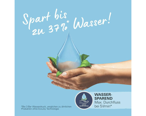 Wassersparfunktion: Eine Hand hält einen Wassertropfen mit Blättern.