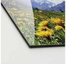Nahaufnahme einer Acrylglasplatte mit einem Landschaftsmotiv, das eine Blumenwiese und Berge zeigt.