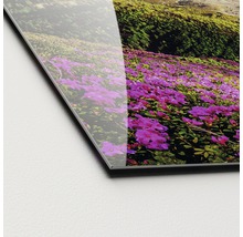 Nahaufnahme einer Acrylglasplatte mit Blumenmotiv