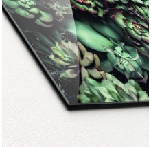 Nahaufnahme einer Acrylglasplatte mit Sukkulentenmotiv