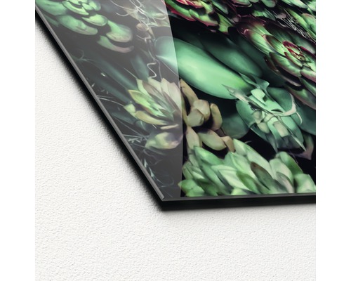 Nahaufnahme einer Acrylglasplatte mit Sukkulentenmotiv