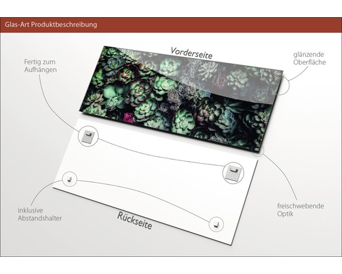 Glasbild mit Pflanzenmotiv, inklusive Abstandshalter und glänzender Oberfläche.