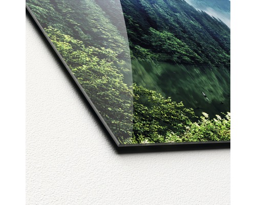 Nahaufnahme einer Acrylglasbild Detailansicht mit Waldmotiv.