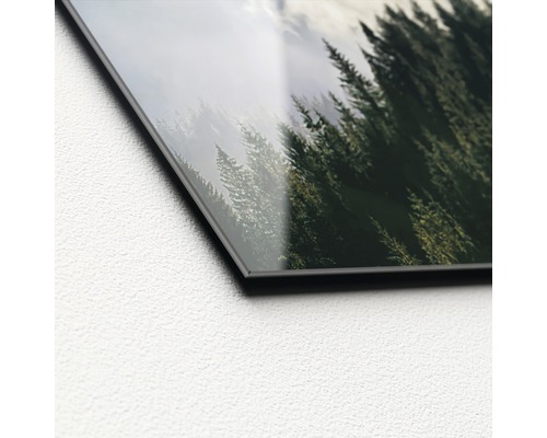 Detailaufnahme eines Acrylglasbildes mit Waldmotiv
