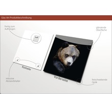 Glasbild Portrait of a bear 30x30 cm