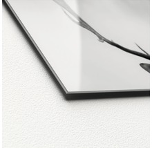 Detailaufnahme einer Acrylglasplatte mit Pflanzenmotiv