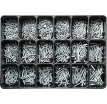 Sortimentskasten mit verschiedenen Schrauben